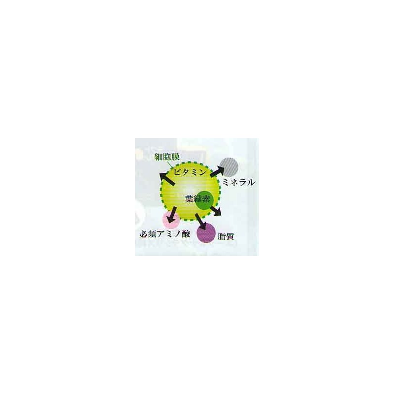 ラクトユーグレナ50cp