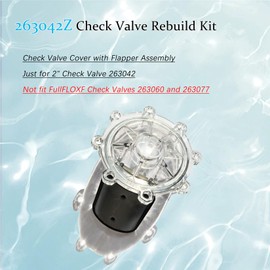 Dicsley Pool Check Valve Rebuild Kit for 2" CPVC Check Valve 263042 Only, Durable Spring Design, Prevents Water Backflow (Not Compatible with FullFLOXF Check Valves 263060 263077)