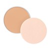 Shiseido integrated Gureishi~i essence powder BB (refill) 2 (skin color