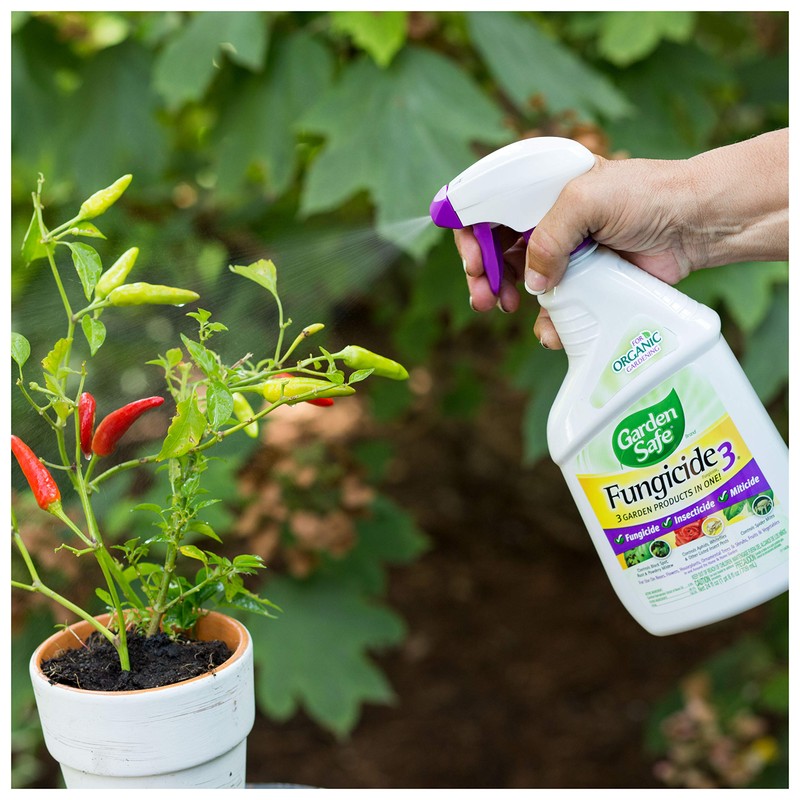 Garden Safe Fungicide, Prevents Fungal Diseases, Controls Black Spot, Rust