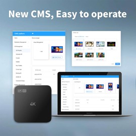 Lunzn Digital Signage Advertising Display Box for Restaruant Shopping Mall Marketing Business Commercial AD Media Player(YM05/1+8G)