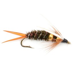 The Fly Fishing Place Double Bead Prince Nymph Fly Fishing Flies - Trout and Bass Wet Fly Pattern - 6 Flies Hook Size 8