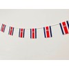 Pandiui23 Costa Rica Flag 40 Pack 35ft 5.5" x 8.25"