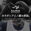 SAURUS SPORTS DRINK Elite (サウルス スポーツドリンク エリート) BCAA アルギニン シトルリン