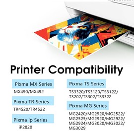 245XL Black Ink Cartridge High Yield Compatible for Canon 245xl Black Ink 245XL PG-245 XL for Cannon 243 243XL Compatible for Pixma TR4520 MG2522 MX492 MX490 TR4500 Printer (2Black)