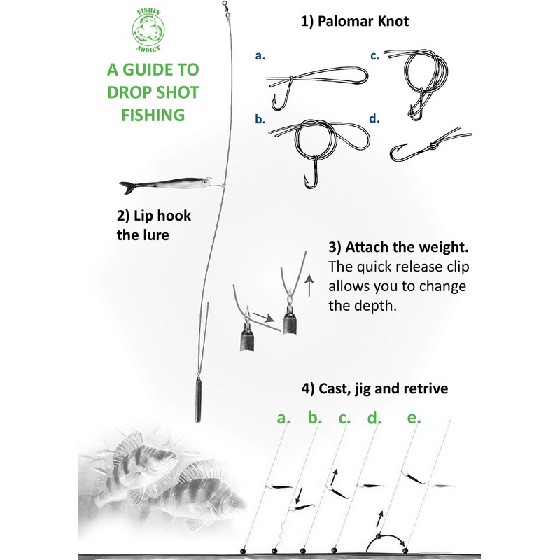 FISHIN ADDICT Drop Shot weights for Drop shotting fishing EA