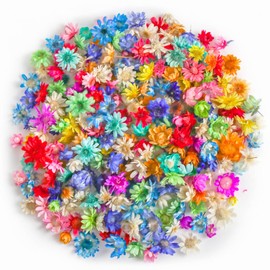 DINGEE Dried Flowers, Approximately 200 Pieces, Konshoku, Dried Plants, Specimen Flowers, Star Flowers, For Resin, Small, Pressed Flowers, Cute, Multicolor, Decorative Parts, DIY Crafts, Photography, Display Accessories, Assorted Set (Color: Konshoku)