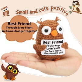 Mini Mothers Day Friends Friendship Gifts for Best Friends BFF Bestie Soul Sister, Positive Crochet Owl for Friends Birthday Graduation Gift, Funny Friend Gifts for Female Male Emotional Cute Stuff