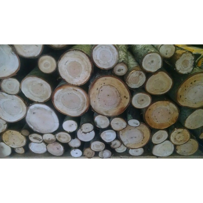 Cherry Wood Logs 12"long BBQ/Grilling/W