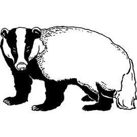 'Badger' Rubber Stamp - Unmounted Design for Crafting & Scrapbooking, A7 (RS00036998)