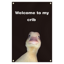 Welcome to My Crib Flag 2x3 Feet Funny Flags for Room Man Cave Wall Flag with Brass Grommets for College Dorm Room Decor Black Background
