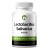 Natural Foundation Supplements Lactobacillus Salivarius 240
