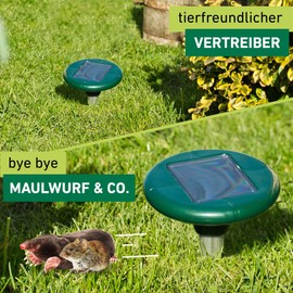 Windhager 02112 Vole/Mole Deterrent, Green, Range up to 750 M²