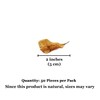 SunGrow 50 Pcs Mini Catappa Indian Almond Leaves for Shrimp