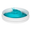 Rich's JW Allen Pre-Whipped Icing ZTF Turquoise Buttercream, 240 Ounce