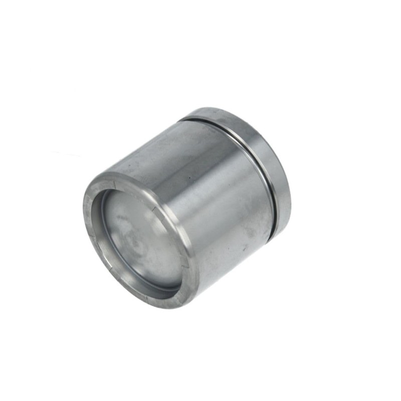Autofren Seinsa D025107 Brake Caliper Piston