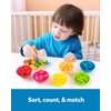 Coogam Counting Dinosaur Sorting Toy Set, Colour Matching Classification Game,