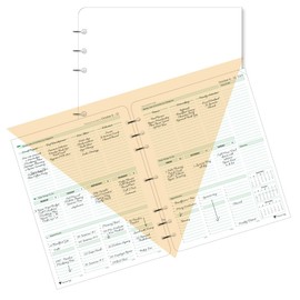 Planner Pad 7 Hole Loose Leaf 3-Tier Funnel Down 12 Month Organizer, October 2025 – September 2026, Soft Green Ink, 8 1/2" x 11”