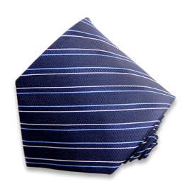 Covona Men's blue and white lined Striped  Neck Tie