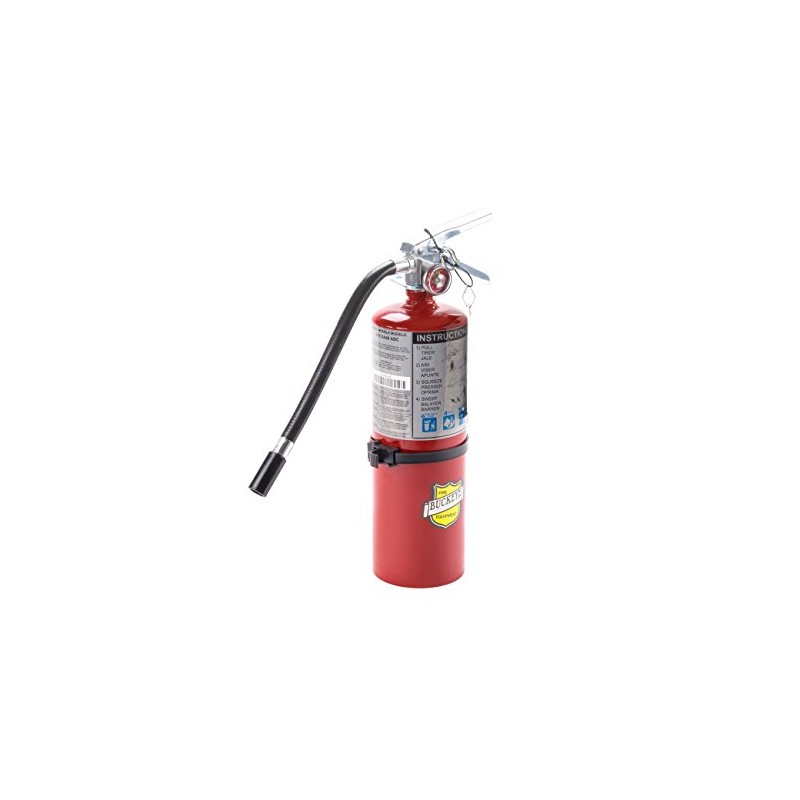 Buckeye 25614 ABC Multipurpose Dry Chemical Hand Held Fire Extinguisher