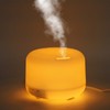 300ML Ultrasonic Air Humidifier with Lights Electric Aroma Diffuser