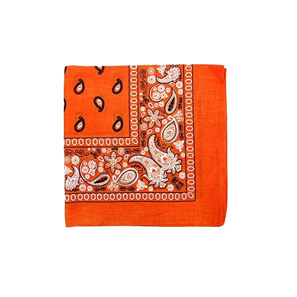 Kaiser Novelty Bandanas Paisley Cotton Bandanas (Orange 22 X 22
