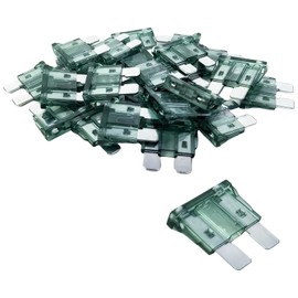 AMZAUTO 25 PCS Car Fuses Assortment Kit, 1 Amp Automotive Standard Blade Type Fuse (ATO/ATC), for Car, RV, Truck, SUV, Camper, Motorcycle, Boat (Green)