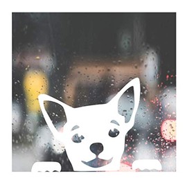 HSC Design Custom Decal Car for Chihuahua FACE Dog Puppy Love for Car, Truck, Funny, Tumbler, Window, Motorcycle, Helmet, Bumper, Decal for Laptop, Phone, Home Decoration / 4 in x 6 in/White
