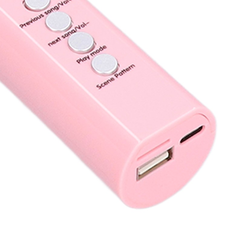 Children Microphone Cute Cartoon Exquisite Girls Wireless Bluetooth Microphone Toy