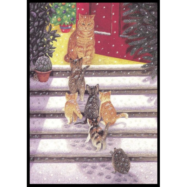 Greeting Card - Cat Hedgehog - Avril Haynes - Christmas
