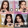 Mirage (ミラージュ) 1 Month 2-Pack Vanity Brown 14.8 (No Prescription)