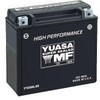 Yuasa YUAM6230XPW YIX30L-BS-PW Maintenance Free YIX Battery with Acid pack