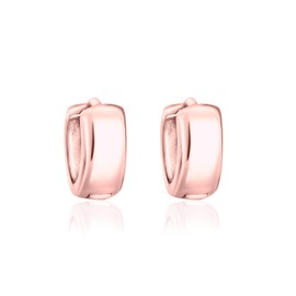 DTPsilver - Women's Hoop Earrings Hinge Small - Earrings 925 Sterling Silver Yellow Gold-Plated or Rose Gold-Plated - Thickness 2 mm - Width 4.5 mm - Diameter 10 mm, Sterling Silver