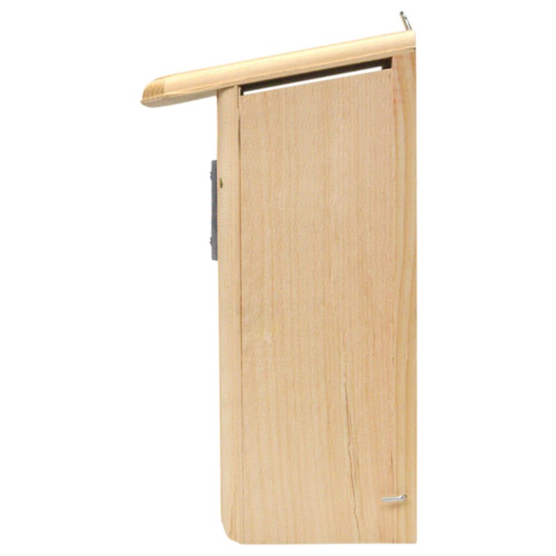 Mounted Downy Woodpecker Bird Nest House – Handcrafted in USA