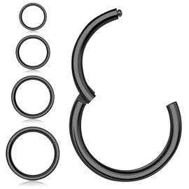 4 Piezas Anillos de Nariz Pendientes de Aro,316L Acero Quirúrgico Bisagra Segmento Clicker Segmento Anillo de Tabique Helix Cartílago Nariz Anillos de Labio,18G-16G Pendientes para Mujeres Hombres