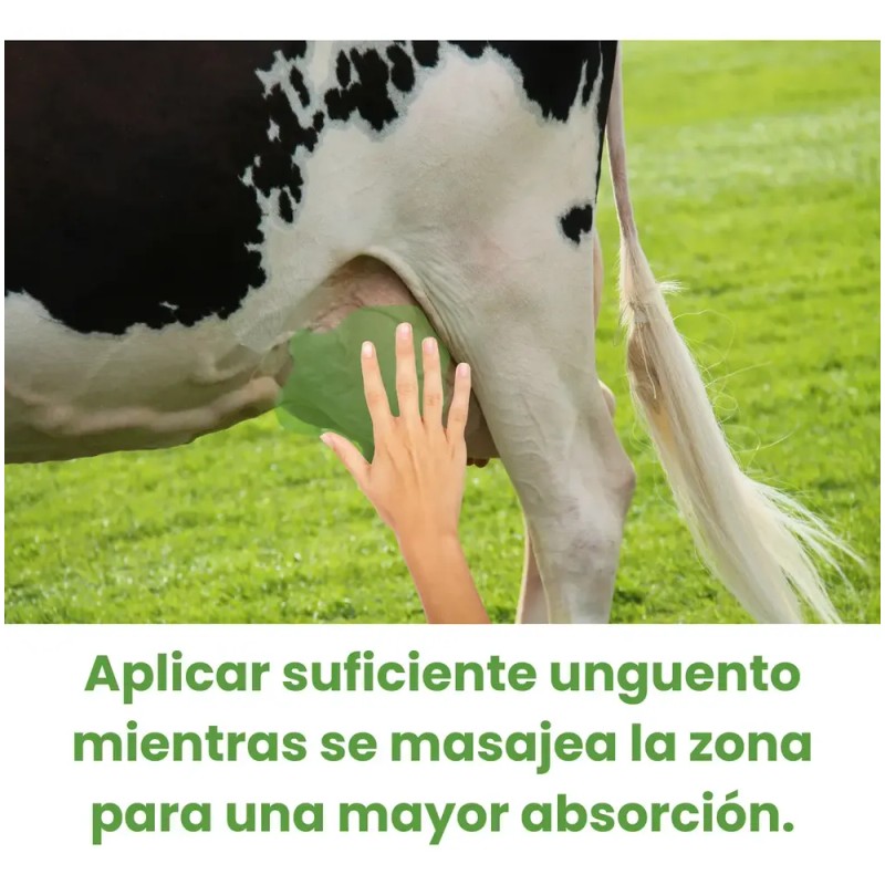 Balsamo Blanco Y Ubresol Pomada Caliente Golpes Unguento