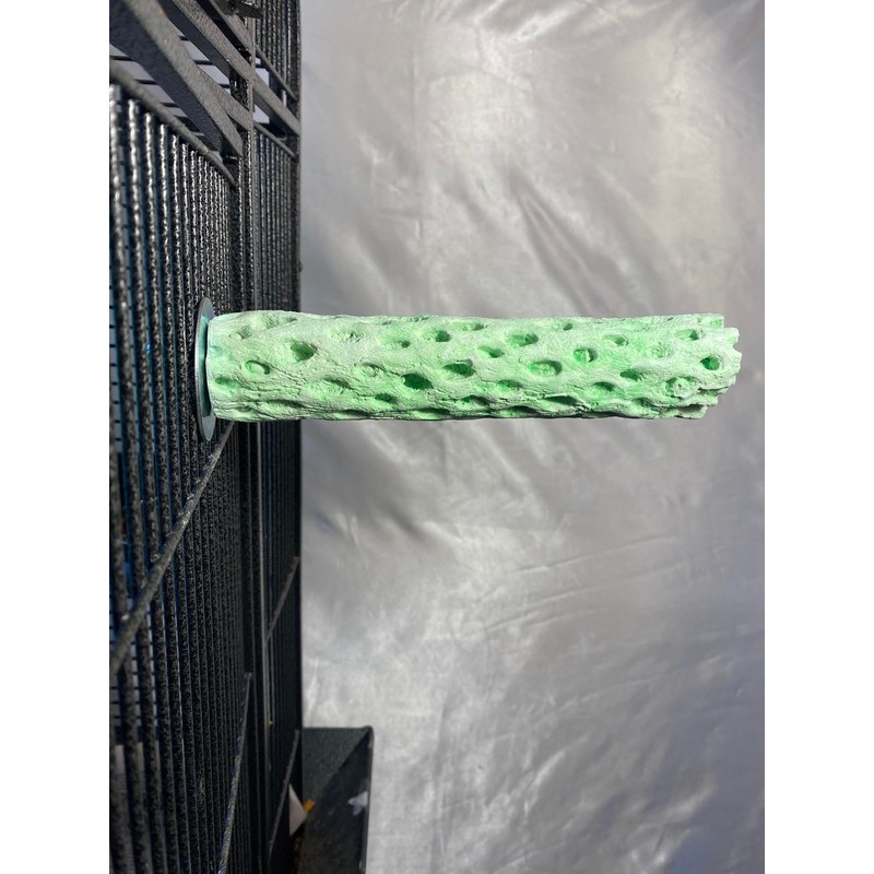 Tooty Fruity Bee Pollen Medium Lime