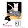 Woolpets Kitties - Needle Felting Craft Kit