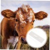 3 Pcs Pregnant Tester Horse Pregnancy Test Strip Livestock Pregnant