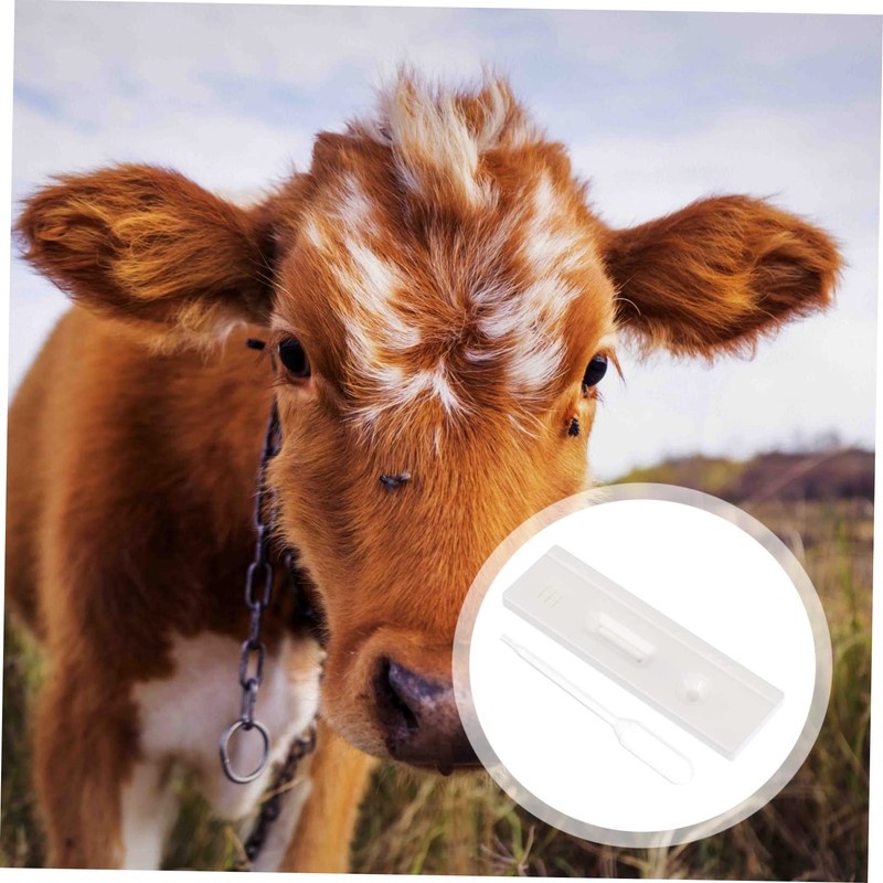 3 Pcs Pregnant Tester Horse Pregnancy Test Strip Livestock Pregnant