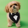 KOOLMOX Tuxedo for Large Dogs Wedding Attire, Black Tux Bow