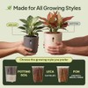 Self-Watering Planter for Leca and Pon - 4-Pack (6 inch)