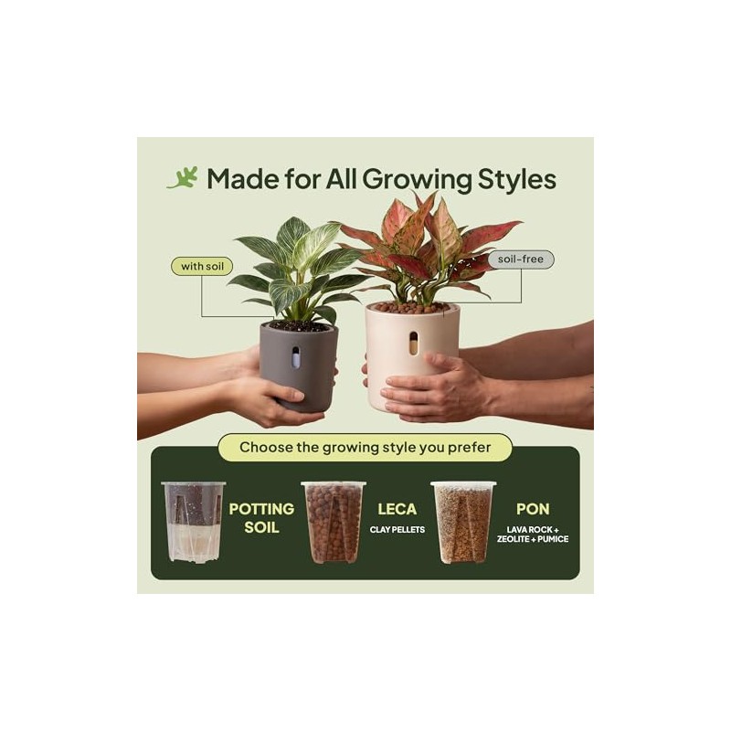 Self-Watering Planter for Leca and Pon - 4-Pack (6 inch)