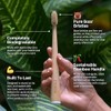 PRIMALS Boar Bristle & Bamboo Toothbrush (4-Pack) - Premium Boar