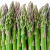Todd's Seeds Mary Washington Asparagus Seed Packet - 10g Seed
