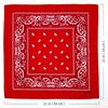 APIGANIZ 100% Cotton Bandanas, 21 x 21 inches, Set of