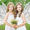 Fairy Wings for Adults Women, Fairy Costume Accessories Set for