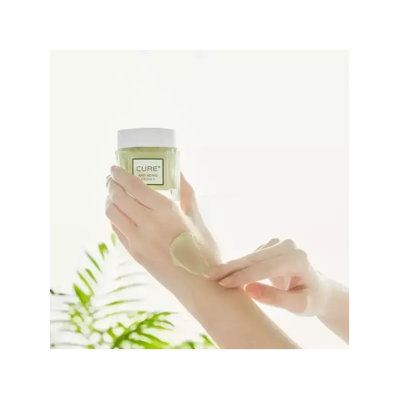 Kim Jeong-mun Aloe [내일도착] 김정문알로에 큐어 안티에이징 크림S 50g 2개