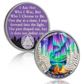 YRCKUDZKG Guided by Northern Lights 6 Year Sobriety Coin - One Day at a Time AA Coin, Alcohol Free Six Year Recovery Chip with Token Capsule, Sobriety Gifts for Men Women