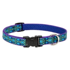 Lupine Small Dog Collar 3/4" Wide Rain Song Adjusts from 9" to 14"